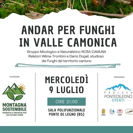 Adamello Peak One Lejlighed Temù